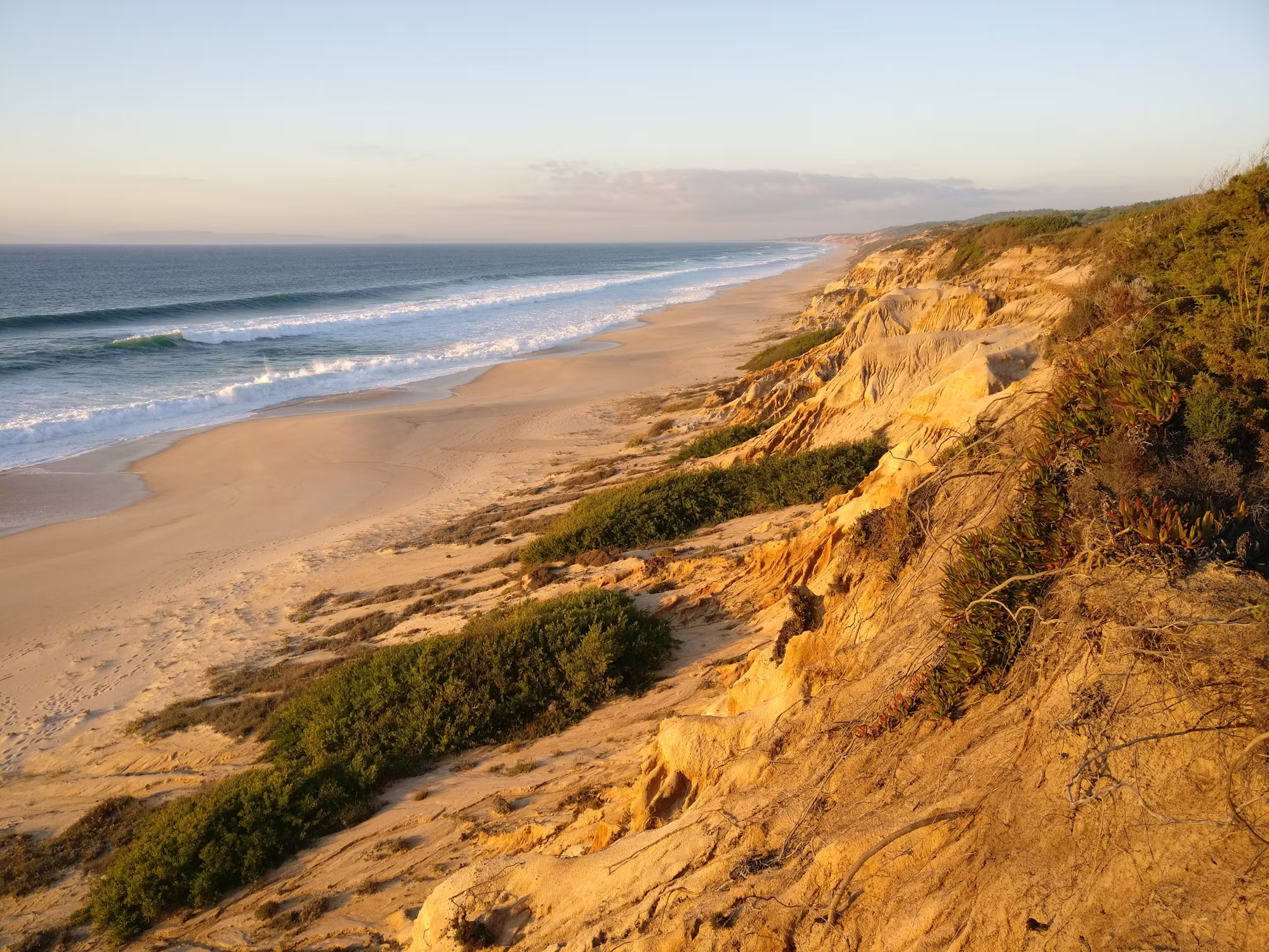 Exploring the Mysteries of Coastal Ecosystems: A Journey Through the World’s Seas